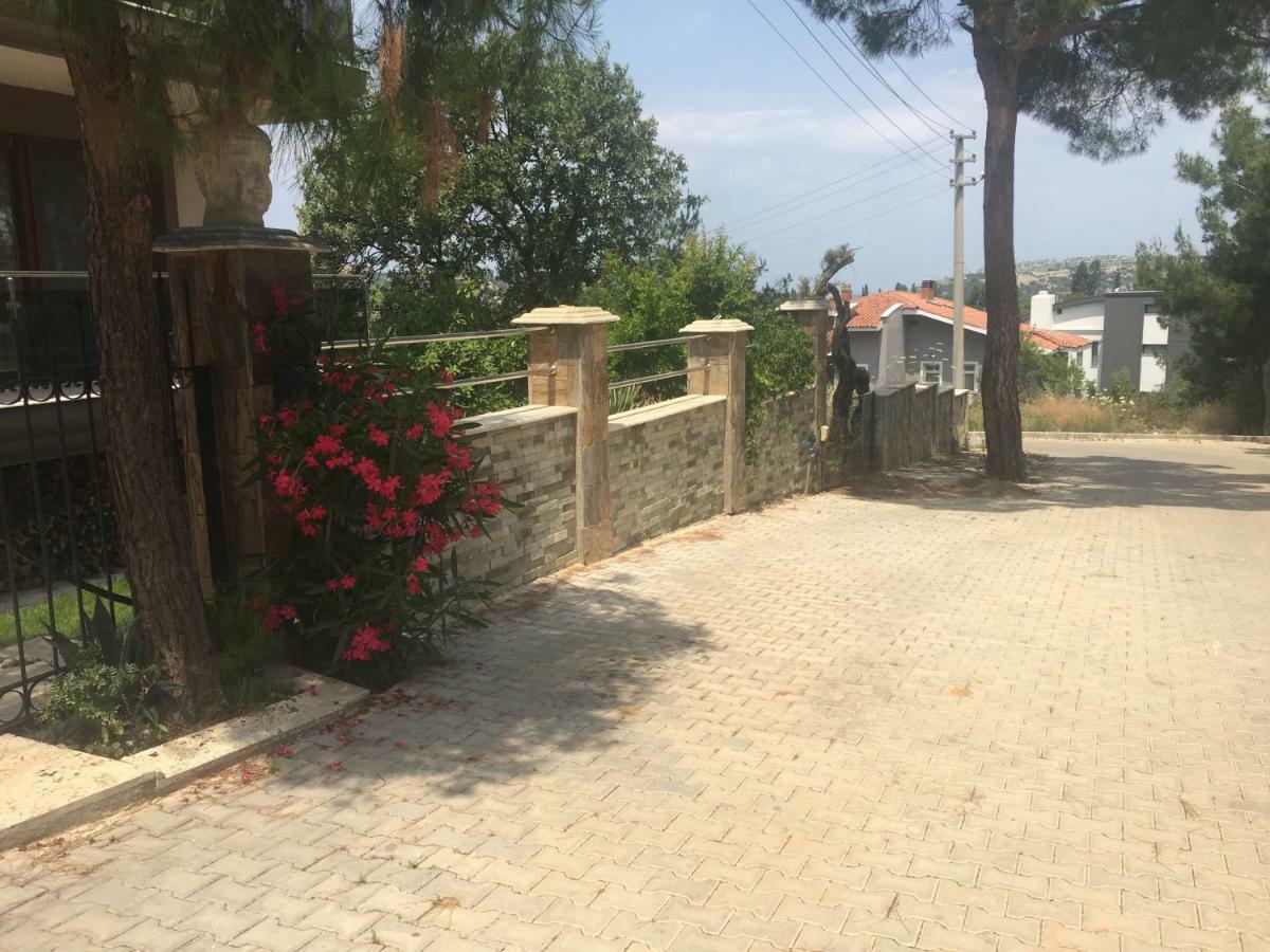 Palmiye Hébergement de vacances