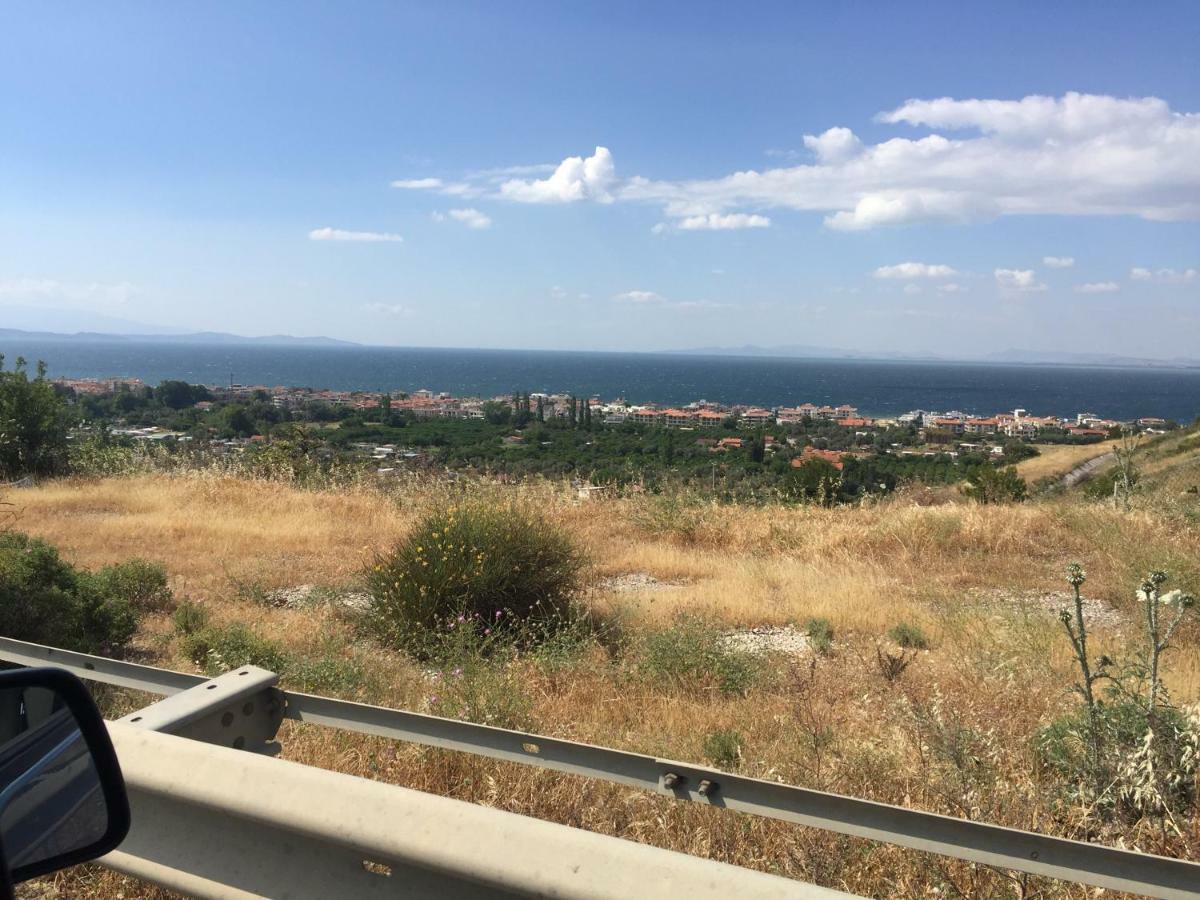 Palmiye Hébergement de vacances İzmir