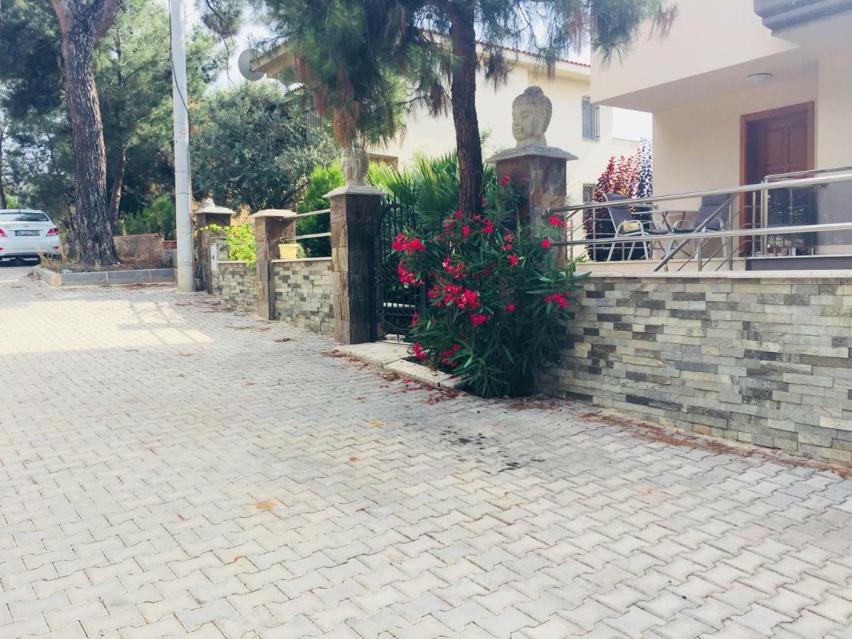 Palmiye *